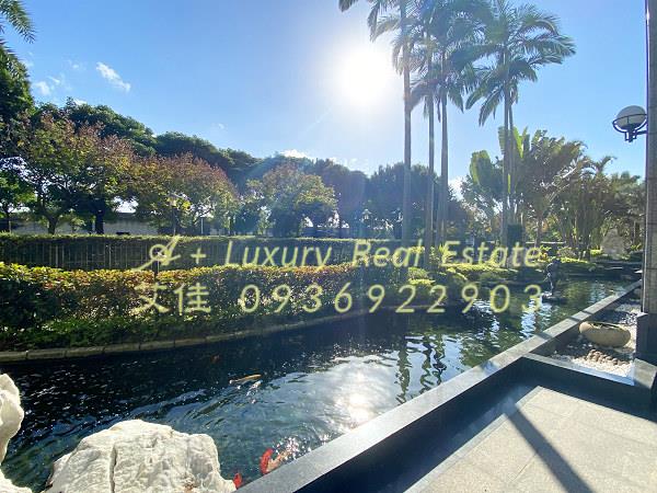大直河景一層一戶泳池