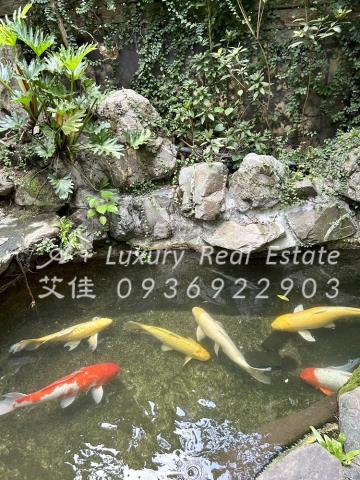 台北內湖別墅-8