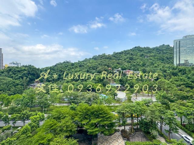 國王與我